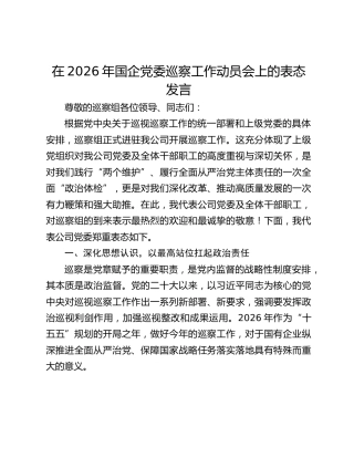 在2026年国企党委巡察工作动员会上的表态发言