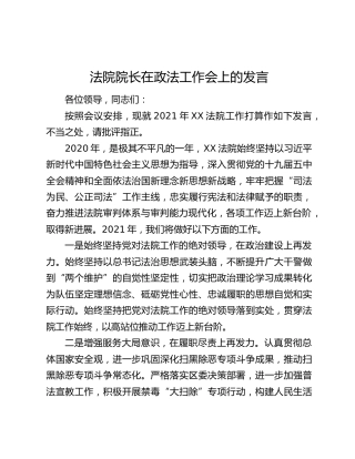 法院院长在政法工作会上的发言