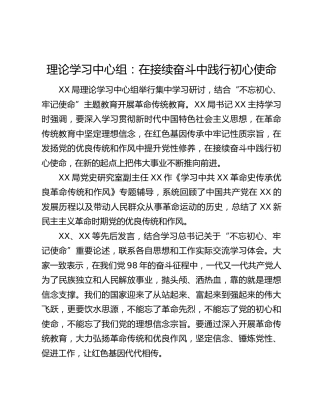 理论学习中心组：在接续奋斗中践行初心使命