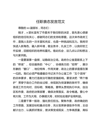 任职表态发言范文