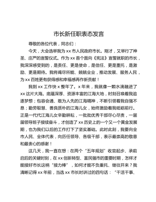 市长新任职表态发言