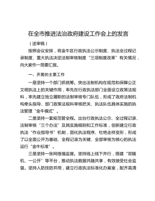 在全市推进法治政府建设工作会上的发言
