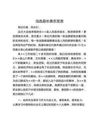 当选县长表态发言
