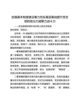 加强基本制度建设着力夯实基层基础提升党支部的政治力凝聚力战斗力
