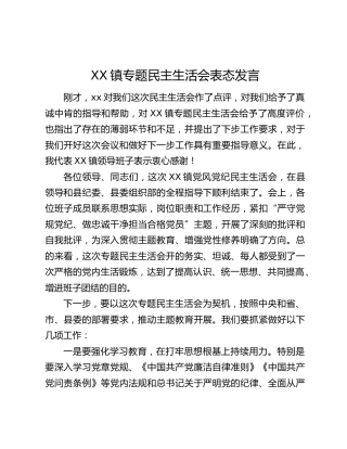 XX镇专题民主生活会表态发言