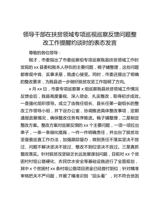 领导干部在扶贫领域专项巡视巡察反馈问题整改工作提醒约谈时的表态发言