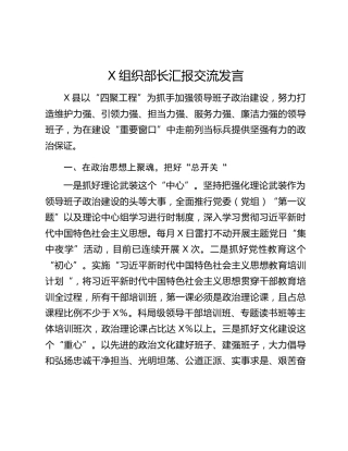 X组织部长汇报交流发言