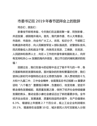 市委书记在2019年春节团拜会上的致辞