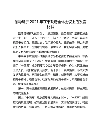 领导班子2021年在市政府全体会议上的发言材料