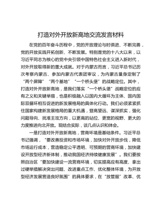 打造对外开放新高地交流发言材料