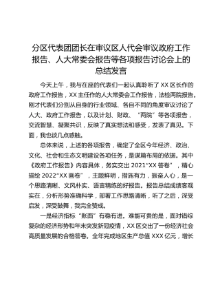 分区代表团团长在审议区人代会审议政府工作报告、人大常委会报告等各项报告讨论会上的总结发言