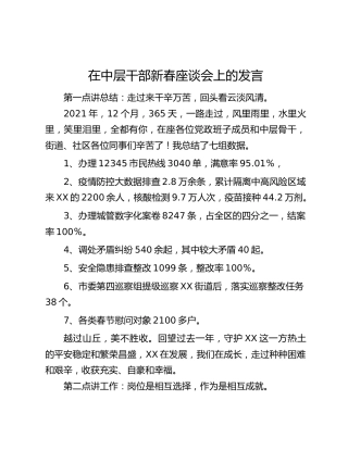 在中层干部新春座谈会上的发言