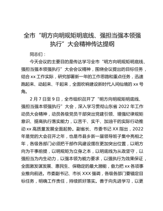 全市“明方向明规矩明底线、强担当强本领强执行”大会精神传达提纲