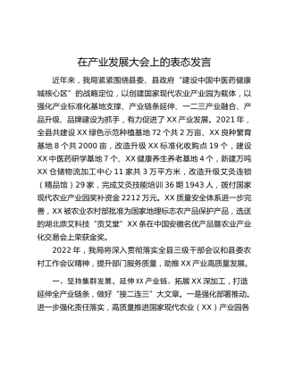 在产业发展大会上的表态发言