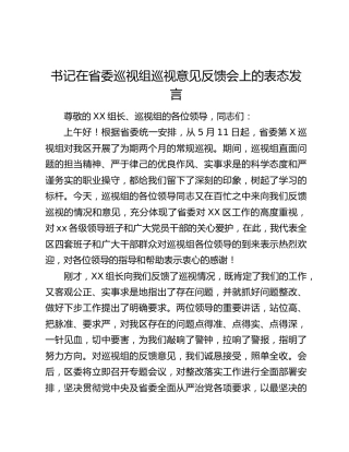 书记在省委巡视组巡视意见反馈会上的表态发言