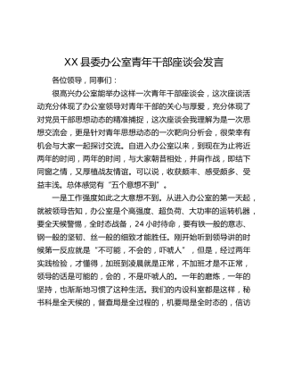 XX县委办公室青年干部座谈会发言