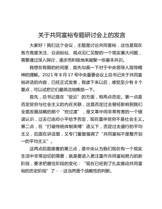 关于共同富裕专题研讨会上的发言