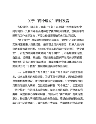 关于“两个确立”研讨发言