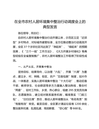 在全市农村人居环境集中整治行动调度会上的典型发言