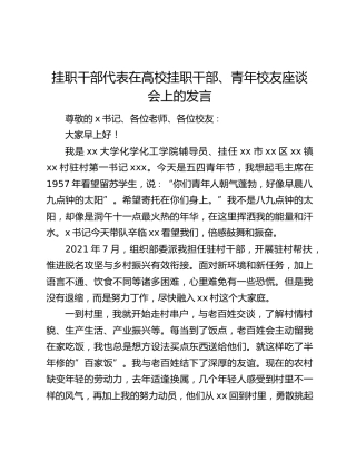 挂职干部代表在高校挂职干部、青年校友座谈会上的发言