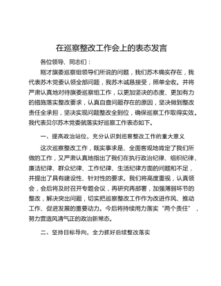 在巡察整改工作会上的表态发言