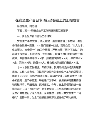 在安全生产百日专项行动会议上的汇报发言