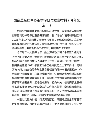 国企总经理中心组学习研讨发言材料（今年怎么干）