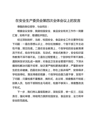 在安全生产委员会第四次全体会议上的发言