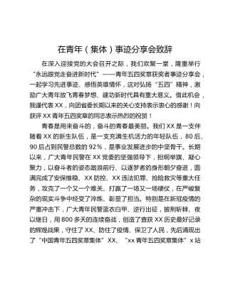 在青年（集体）事迹分享会致辞