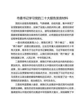 市委书记学习党的二十大报告发言材料