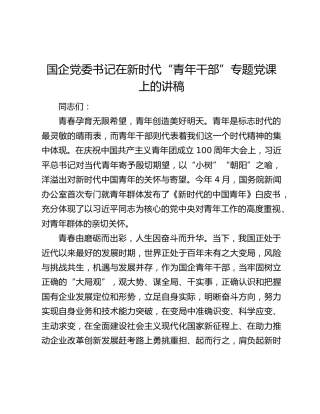 国企党委书记在新时代“青年干部”专题党课上的讲稿