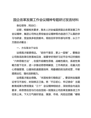 国企改革发展工作会议精神专题研讨发言材料