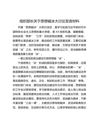 组织部长关于思想破冰大讨论发言材料