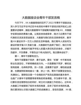 大数据座谈会青年干部发言稿