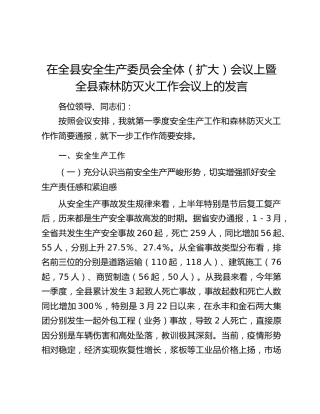 在全县安全生产委员会全体（扩大）会议上暨全县森林防灭火工作会议上的发言