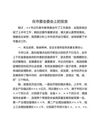 在市委全委会上的发言