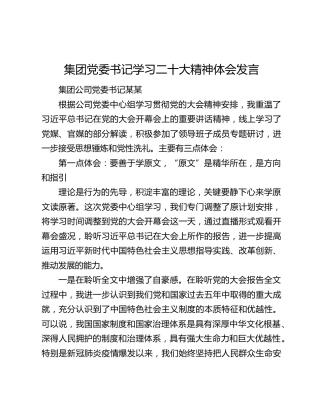 集团党委书记学习二十大精神体会发言