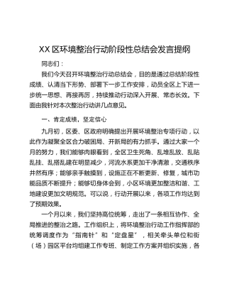 XX区环境整治行动阶段性总结会发言提纲
