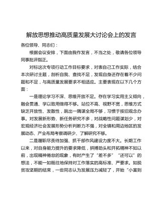 解放思想推动高质量发展大讨论会上的发言