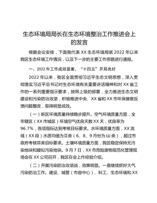 生态环境局局长在生态环境整治工作推进会上的发言
