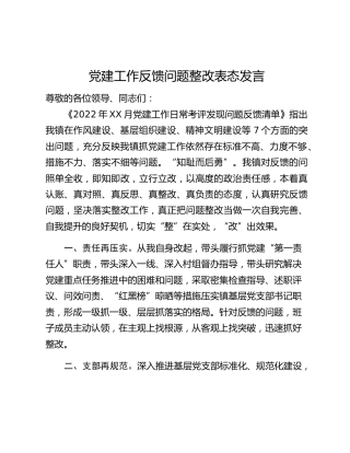 党建工作反馈问题整改表态发言