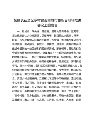 某镇长在全区乡村建设暨城市更新目现场推进会议上的发言