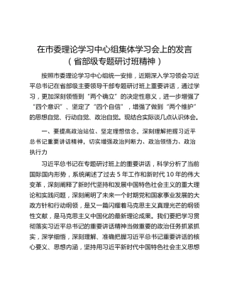 在市委理论学习中心组集体学习会上的发言（省部级专题研讨班精神）