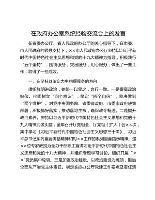 在政府办公室系统经验交流会上的发言