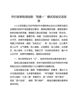 市行政审批局创新“党建＋”模式经验交流发言
