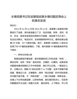 乡镇党委书记在巡察组巡察乡镇问题反馈会上的表态发言