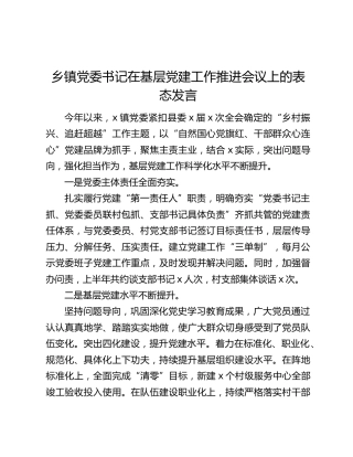 乡镇党委书记在基层党建工作推进会议上的表态发言