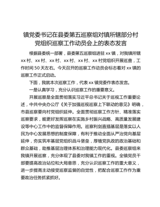 镇党委书记在县委第五巡察组对镇所辖部分村党组织巡察工作动员会上的表态发言