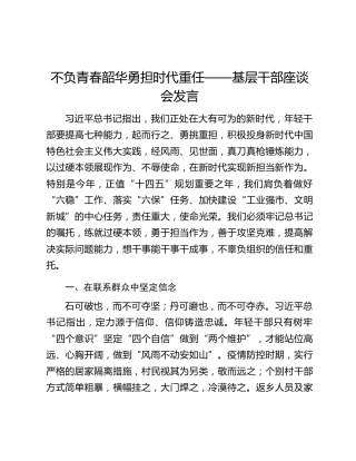 不负青春韶华勇担时代重任——基层干部座谈会发言