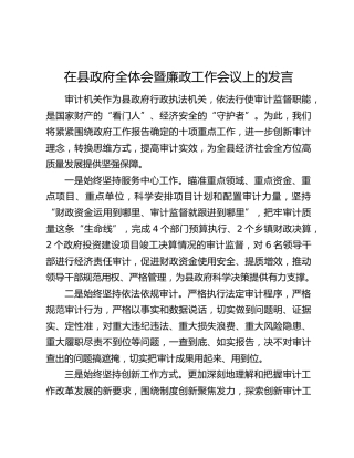 在县政府全体会暨廉政工作会议上的发言